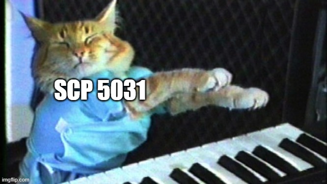 Piano cat | SCP 5031 | image tagged in piano cat | made w/ Imgflip meme maker