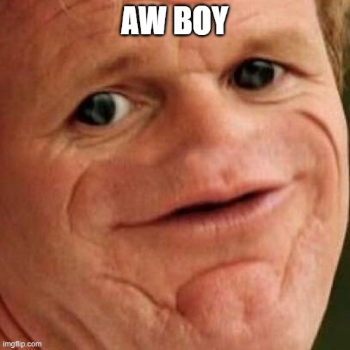 SOSIG | AW BOY | image tagged in sosig | made w/ Imgflip meme maker