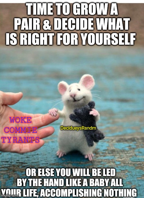 TIME TO GROW A PAIR & DECIDE WHAT IS RIGHT FOR YOURSELF OR ELSE YOU WILL BE LED BY THE HAND LIKE A BABY ALL YOUR LIFE, ACCOMPLISHING NOTHING | made w/ Imgflip meme maker