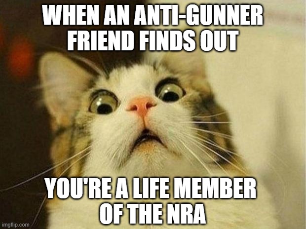 Scared Cat Meme | WHEN AN ANTI-GUNNER FRIEND FINDS OUT; YOU'RE A LIFE MEMBER 
OF THE NRA | image tagged in memes,scared cat | made w/ Imgflip meme maker