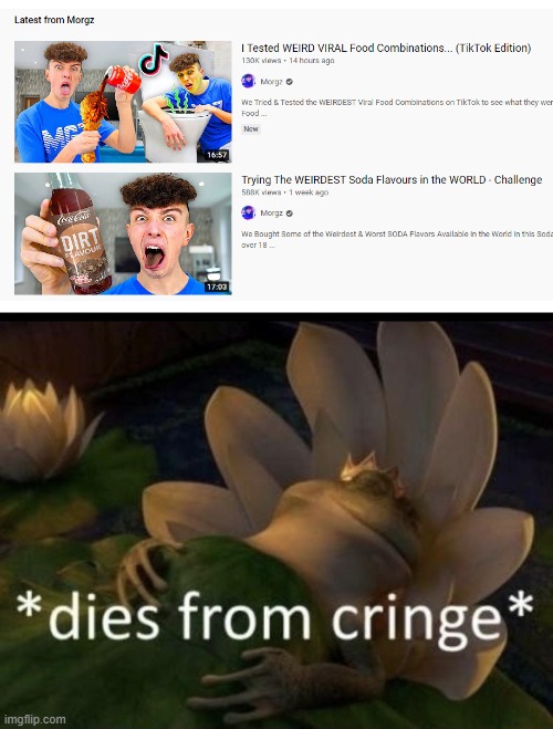 he's cringy af | image tagged in dies from cringe,memes | made w/ Imgflip meme maker