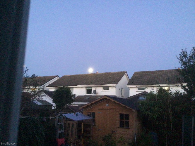 6th of march, 6:30am, moon setting in my back garden | image tagged in moon | made w/ Imgflip meme maker