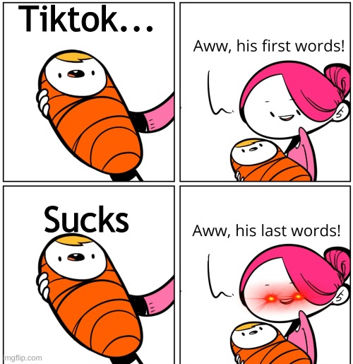 Tiktok sucks! | Tiktok... Sucks | image tagged in aww his last words,tik tok sucks,tik tok,so true memes,true | made w/ Imgflip meme maker