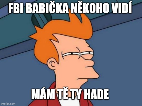 Futurama Fry Meme | FBI BABIČKA NĚKOHO VIDÍ MÁM TĚ TY HADE | image tagged in memes,futurama fry | made w/ Imgflip meme maker