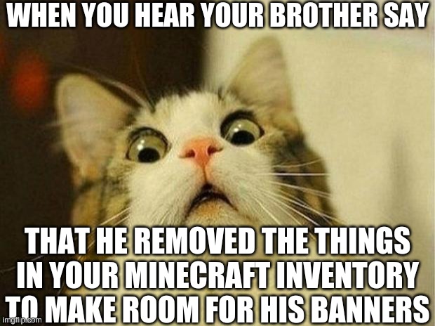Scared Cat Meme | WHEN YOU HEAR YOUR BROTHER SAY; THAT HE REMOVED THE THINGS IN YOUR MINECRAFT INVENTORY TO MAKE ROOM FOR HIS BANNERS | image tagged in memes,scared cat | made w/ Imgflip meme maker