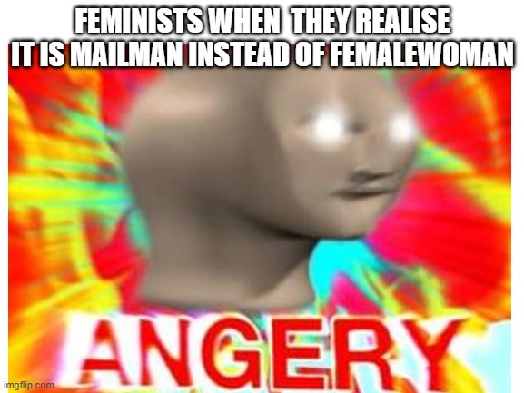 FEMINISTS WHEN  THEY REALISE IT IS MAILMAN INSTEAD OF FEMALEWOMAN | image tagged in surreal angery,mems | made w/ Imgflip meme maker