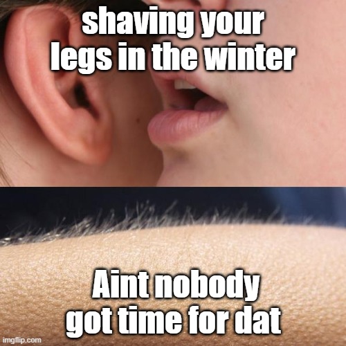 Winter | shaving your legs in the winter; Aint nobody got time for dat | image tagged in whisper and goosebumps | made w/ Imgflip meme maker