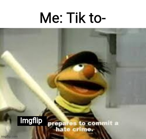 Ernie Prepares to commit a hate crime | Me: Tik to-; Imgflip | image tagged in ernie prepares to commit a hate crime | made w/ Imgflip meme maker