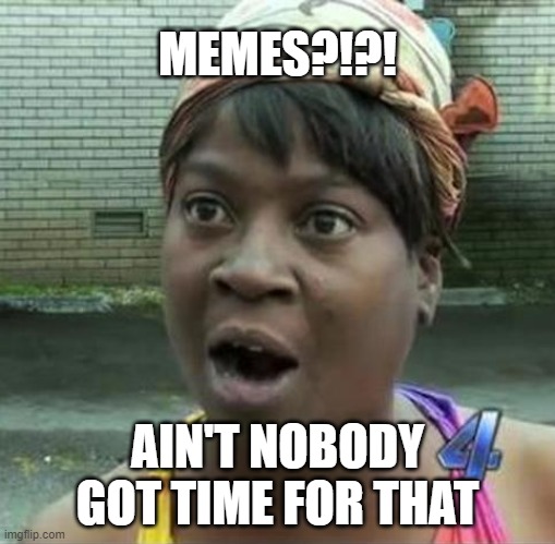 Memes | MEMES?!?! AIN'T NOBODY GOT TIME FOR THAT | image tagged in memes,meta,criticism | made w/ Imgflip meme maker