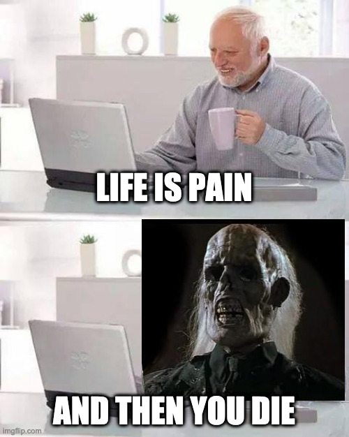What Depression Feels Like | LIFE IS PAIN; AND THEN YOU DIE | image tagged in memes,hide the pain harold | made w/ Imgflip meme maker