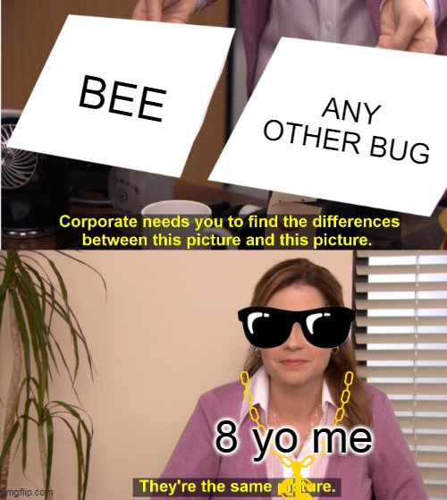 They're The Same Picture | BEE; ANY OTHER BUG; 8 yo me | image tagged in memes,they're the same picture | made w/ Imgflip meme maker