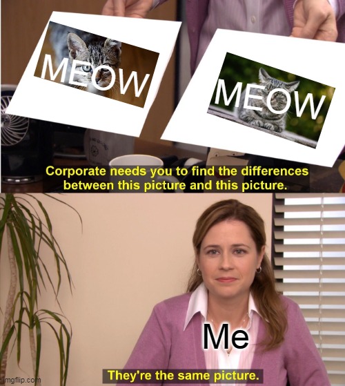 MEOWW!!!!!!! | MEOW; MEOW; Me | image tagged in memes,they're the same picture,cats,same picture | made w/ Imgflip meme maker