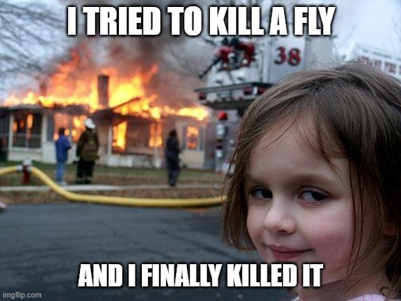 Disaster Girl Meme | I TRIED TO KILL A FLY; AND I FINALLY KILLED IT | image tagged in memes,disaster girl | made w/ Imgflip meme maker