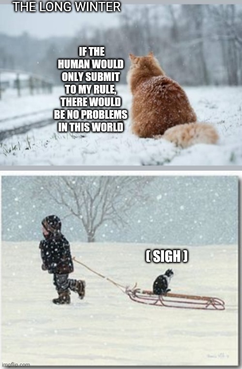 THE LONG WINTER; IF THE HUMAN WOULD ONLY SUBMIT TO MY RULE, THERE WOULD BE NO PROBLEMS IN THIS WORLD; ( SIGH ) | image tagged in cat memes | made w/ Imgflip meme maker