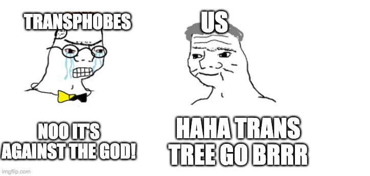 nooo haha go brrr | NOO IT'S AGAINST THE GOD! HAHA TRANS TREE GO BRRR TRANSPHOBES US | image tagged in nooo haha go brrr | made w/ Imgflip meme maker