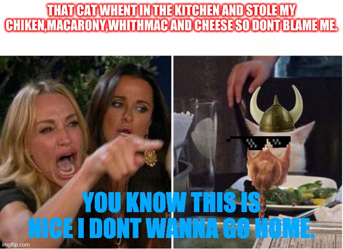 woman shouts at viking cat | THAT CAT WHENT IN THE KITCHEN AND STOLE MY CHIKEN,MACARONY,WHITHMAC AND CHEESE SO DONT BLAME ME. YOU KNOW THIS IS NICE I DONT WANNA GO HOME. | image tagged in woman shouts at viking cat | made w/ Imgflip meme maker