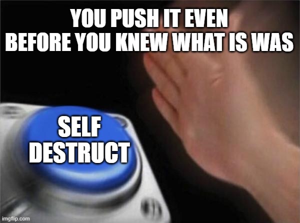 The self destruct button | YOU PUSH IT EVEN BEFORE YOU KNEW WHAT IS WAS; SELF DESTRUCT | image tagged in memes,blank nut button | made w/ Imgflip meme maker