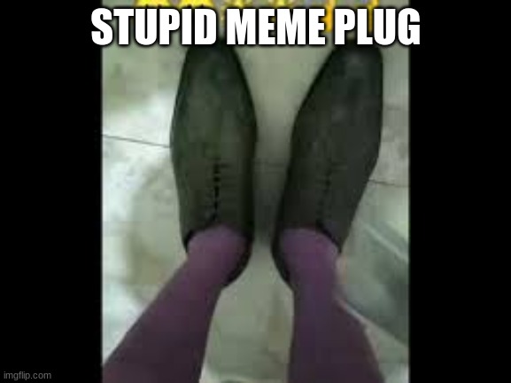 STUPID MEME PLUG | made w/ Imgflip meme maker