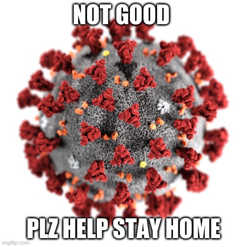 idk anymore | NOT GOOD; PLZ HELP STAY HOME | image tagged in covid-19 | made w/ Imgflip meme maker