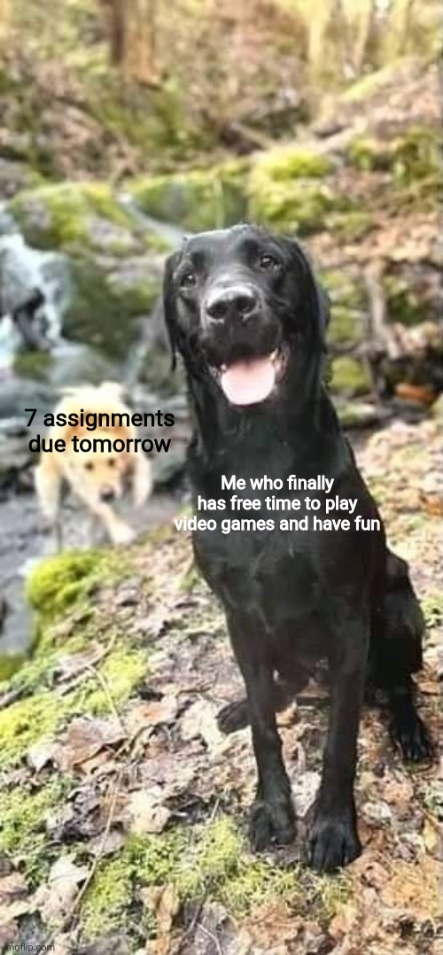 Online schools be like |  7 assignments due tomorrow; Me who finally has free time to play video games and have fun | image tagged in dog sneaking up on another dog | made w/ Imgflip meme maker