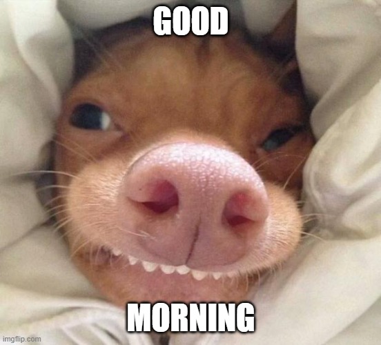 good morning | GOOD; MORNING | image tagged in good morning | made w/ Imgflip meme maker