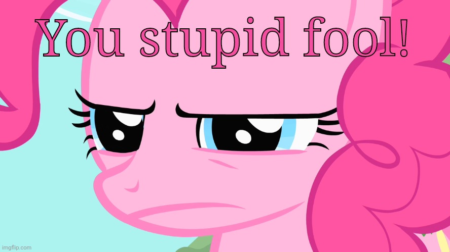 Okie Dokie Loki (MLP) | You stupid fool! | image tagged in okie dokie loki mlp | made w/ Imgflip meme maker