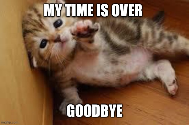 Sad Kitten Goodbye | MY TIME IS OVER; GOODBYE | image tagged in sad kitten goodbye | made w/ Imgflip meme maker