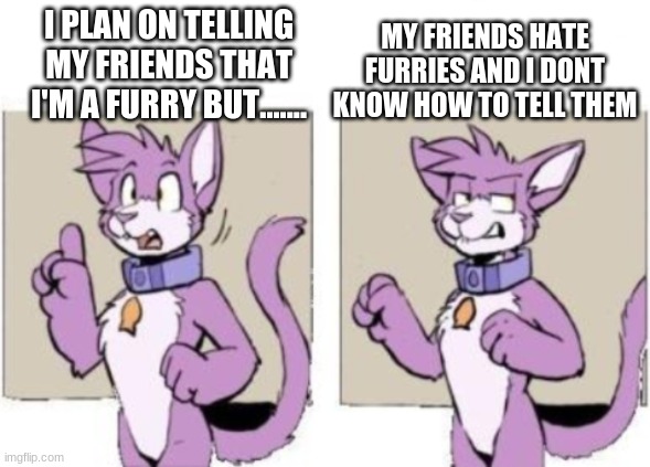 halp | MY FRIENDS HATE FURRIES AND I DONT KNOW HOW TO TELL THEM; I PLAN ON TELLING MY FRIENDS THAT I'M A FURRY BUT....... | image tagged in furry hold on | made w/ Imgflip meme maker