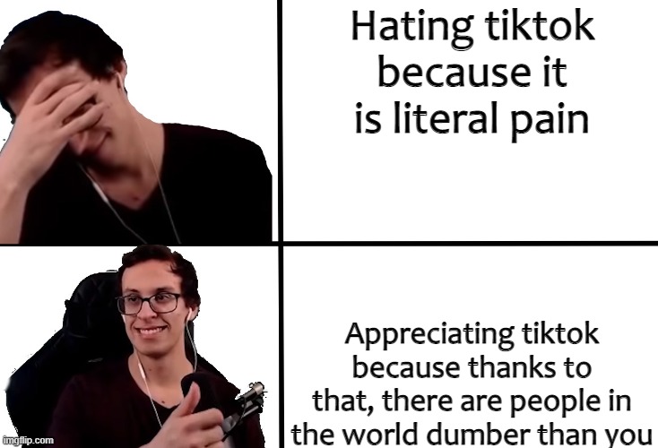 PointCrow Drake | Hating tiktok because it is literal pain; Appreciating tiktok because thanks to that, there are people in the world dumber than you | image tagged in pointcrow drake | made w/ Imgflip meme maker