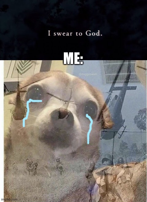 ME: | image tagged in ptsd chihuahua | made w/ Imgflip meme maker