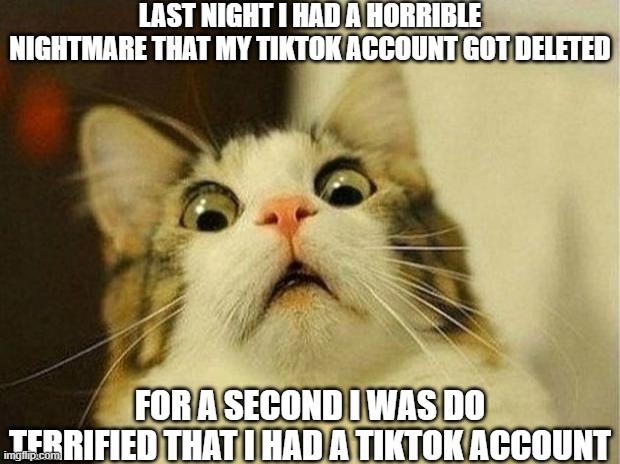 I'm afraid- | LAST NIGHT I HAD A HORRIBLE NIGHTMARE THAT MY TIKTOK ACCOUNT GOT DELETED; FOR A SECOND I WAS DO TERRIFIED THAT I HAD A TIKTOK ACCOUNT | image tagged in memes,scared cat | made w/ Imgflip meme maker