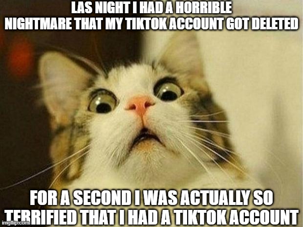 Tiktok screw u | LAS NIGHT I HAD A HORRIBLE NIGHTMARE THAT MY TIKTOK ACCOUNT GOT DELETED; FOR A SECOND I WAS ACTUALLY SO TERRIFIED THAT I HAD A TIKTOK ACCOUNT | image tagged in memes,scared cat | made w/ Imgflip meme maker