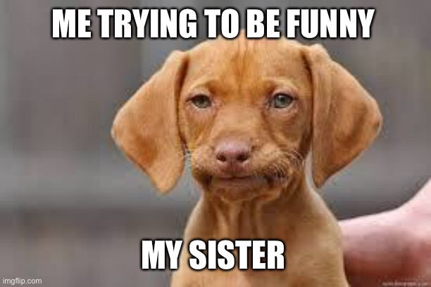 Sisters | ME TRYING TO BE FUNNY; MY SISTER | image tagged in disappointed dog | made w/ Imgflip meme maker