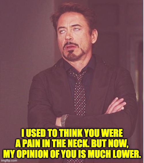 Pain in the .... | I USED TO THINK YOU WERE A PAIN IN THE NECK. BUT NOW, MY OPINION OF YOU IS MUCH LOWER. | image tagged in memes,face you make robert downey jr | made w/ Imgflip meme maker