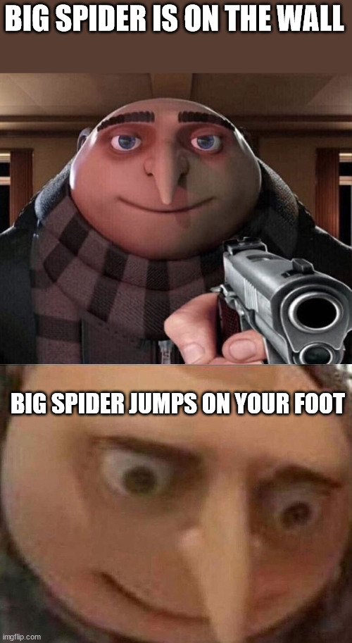 everyone's worst fear | BIG SPIDER IS ON THE WALL; BIG SPIDER JUMPS ON YOUR FOOT | image tagged in gru gun,gru meme | made w/ Imgflip meme maker