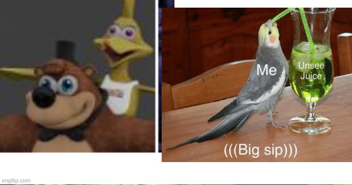 When someone makes a cursed image of banjo and kazooie | image tagged in banjo,cursed image,unsee juice | made w/ Imgflip meme maker