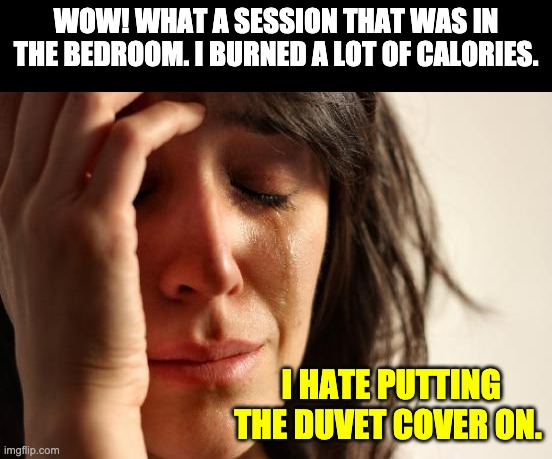 Duvet | WOW! WHAT A SESSION THAT WAS IN THE BEDROOM. I BURNED A LOT OF CALORIES. I HATE PUTTING THE DUVET COVER ON. | image tagged in memes,first world problems | made w/ Imgflip meme maker