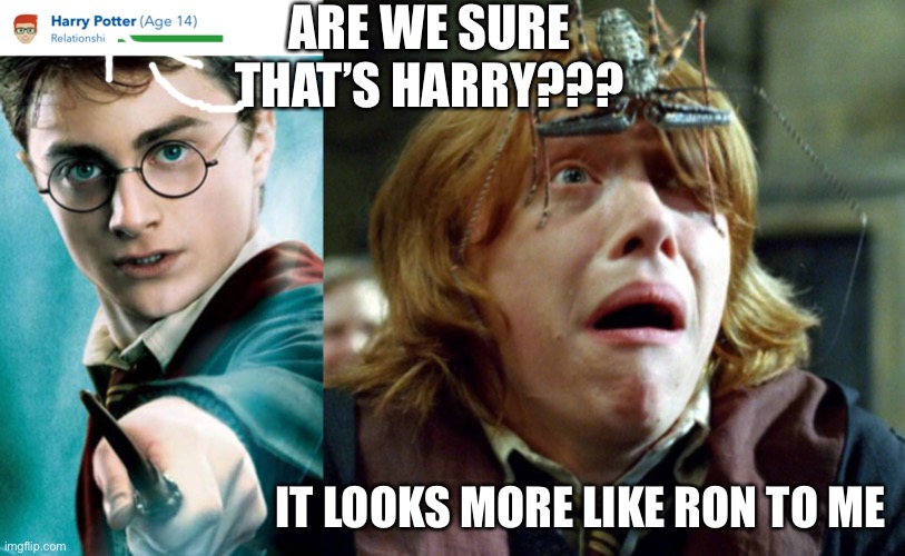 Harry Potter or Ron weasley | ARE WE SURE THAT’S HARRY??? IT LOOKS MORE LIKE RON TO ME | image tagged in harry potter,ron weasley | made w/ Imgflip meme maker