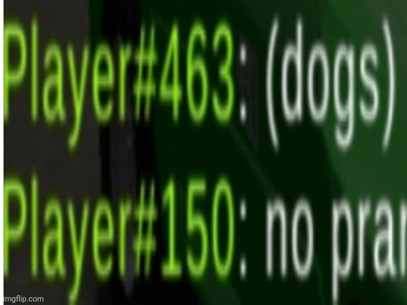 (dogs) no prank | image tagged in chat,multiplayer,player,number | made w/ Imgflip meme maker