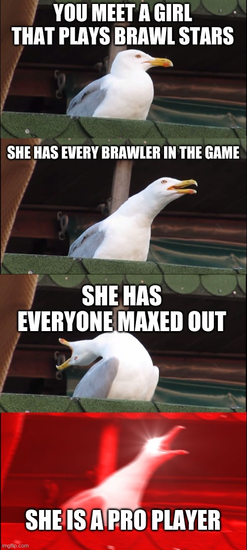 Inhaling Seagull | YOU MEET A GIRL THAT PLAYS BRAWL STARS; SHE HAS EVERY BRAWLER IN THE GAME; SHE HAS EVERYONE MAXED OUT; SHE IS A PRO PLAYER | image tagged in memes,inhaling seagull | made w/ Imgflip meme maker