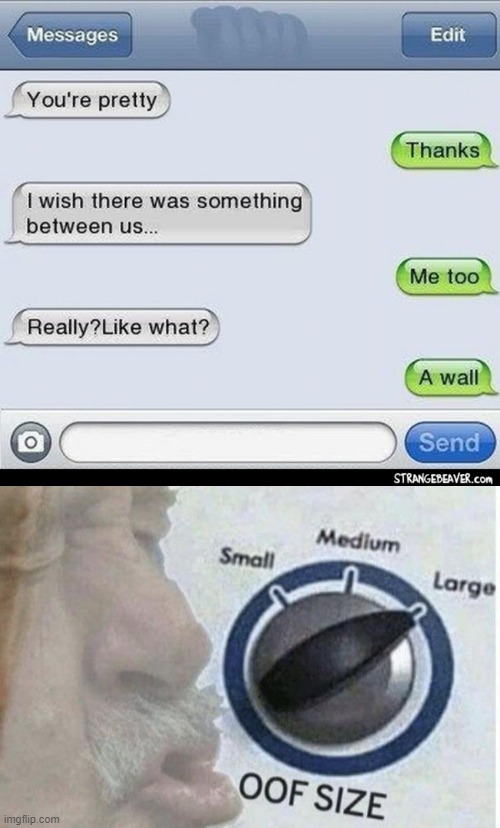Thats gotta hurt | image tagged in oof size large | made w/ Imgflip meme maker