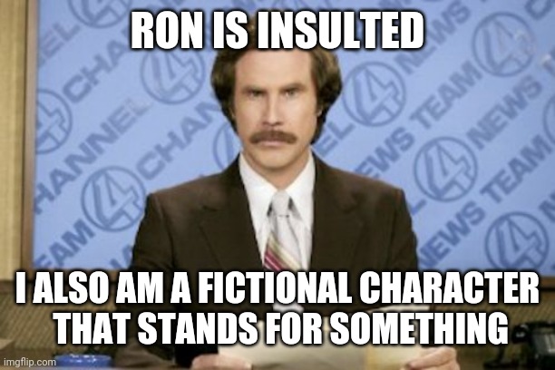Ron Burgundy Meme | RON IS INSULTED I ALSO AM A FICTIONAL CHARACTER
 THAT STANDS FOR SOMETHING | image tagged in memes,ron burgundy | made w/ Imgflip meme maker