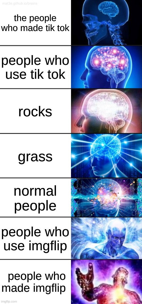7-Tier Expanding Brain | the people who made tik tok; people who use tik tok; rocks; grass; normal people; people who use imgflip; people who made imgflip | image tagged in 7-tier expanding brain | made w/ Imgflip meme maker