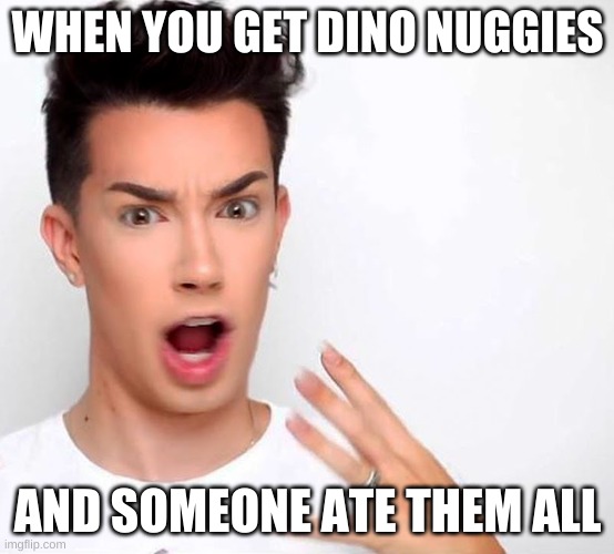 James Charles | WHEN YOU GET DINO NUGGIES; AND SOMEONE ATE THEM ALL | image tagged in james charles | made w/ Imgflip meme maker