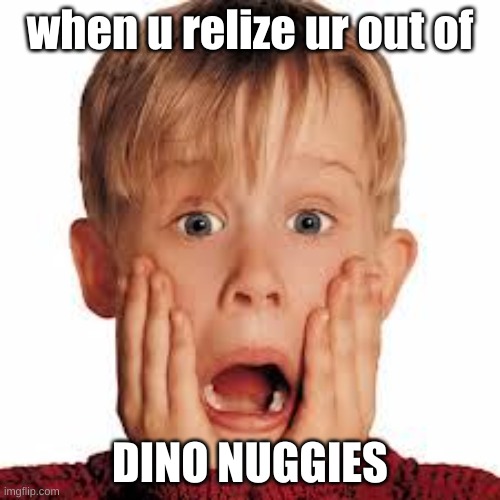 shocked face | when u relize ur out of; DINO NUGGIES | image tagged in shocked face | made w/ Imgflip meme maker