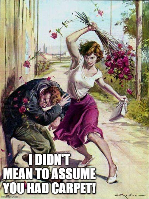 Beaten with Roses | I DIDN'T MEAN TO ASSUME YOU HAD CARPET! | image tagged in beaten with roses | made w/ Imgflip meme maker