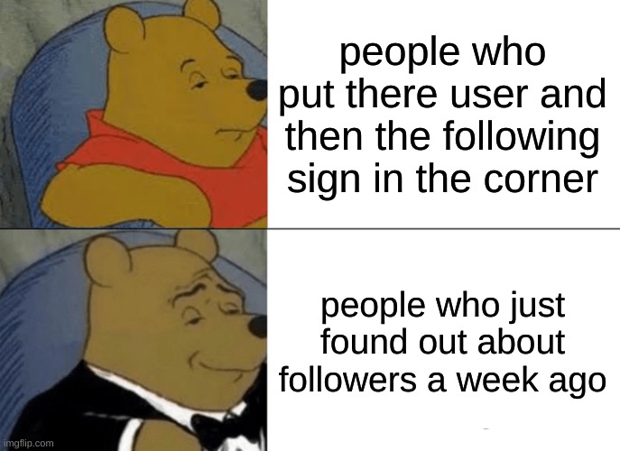 also me | people who put there user and then the following sign in the corner; people who just found out about followers a week ago | image tagged in memes,tuxedo winnie the pooh | made w/ Imgflip meme maker