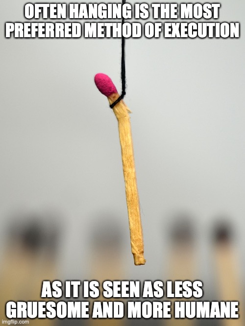 Death by Hanging | OFTEN HANGING IS THE MOST PREFERRED METHOD OF EXECUTION; AS IT IS SEEN AS LESS GRUESOME AND MORE HUMANE | image tagged in memes,hanging | made w/ Imgflip meme maker