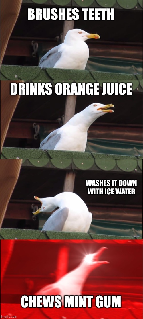 Inhaling Seagull | BRUSHES TEETH; DRINKS ORANGE JUICE; WASHES IT DOWN WITH ICE WATER; CHEWS MINT GUM | image tagged in memes,inhaling seagull | made w/ Imgflip meme maker