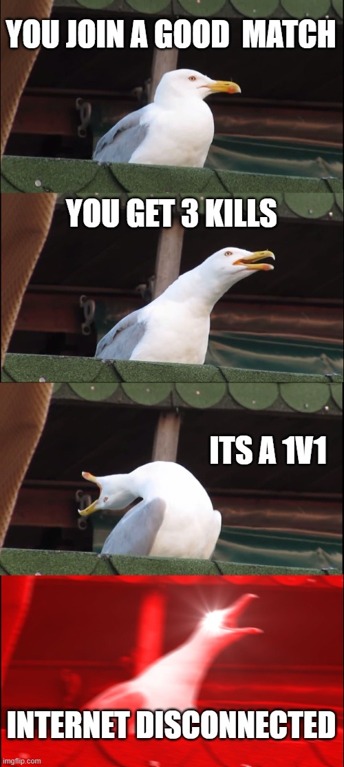 This has happened to me more than once... | YOU JOIN A GOOD  MATCH; YOU GET 3 KILLS; ITS A 1V1; INTERNET DISCONNECTED | image tagged in memes,inhaling seagull | made w/ Imgflip meme maker